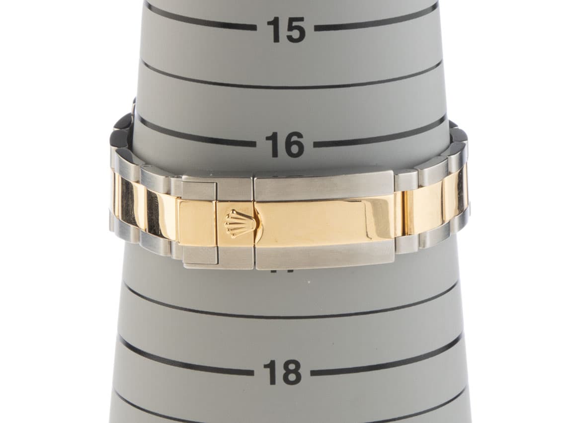 oyster_stgg_170mm_1.jpg
