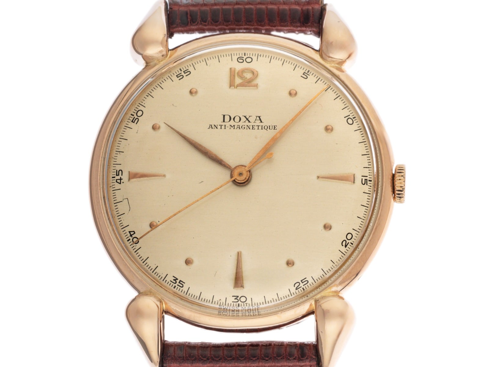 10000084243_1.jpg
